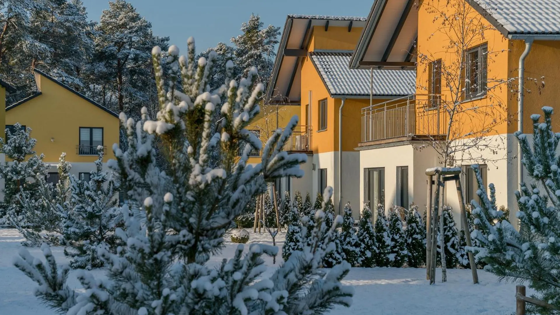 בית נופש ברלין Ferienpark Ruebezahl Am Mueggelsee, Haus 20 Mohn Mit Eigener Sauna, Idealer Ort Fuer Natur- Und Erholungssuchende, Fuer Radfahrer Und Familien Mit Kindern