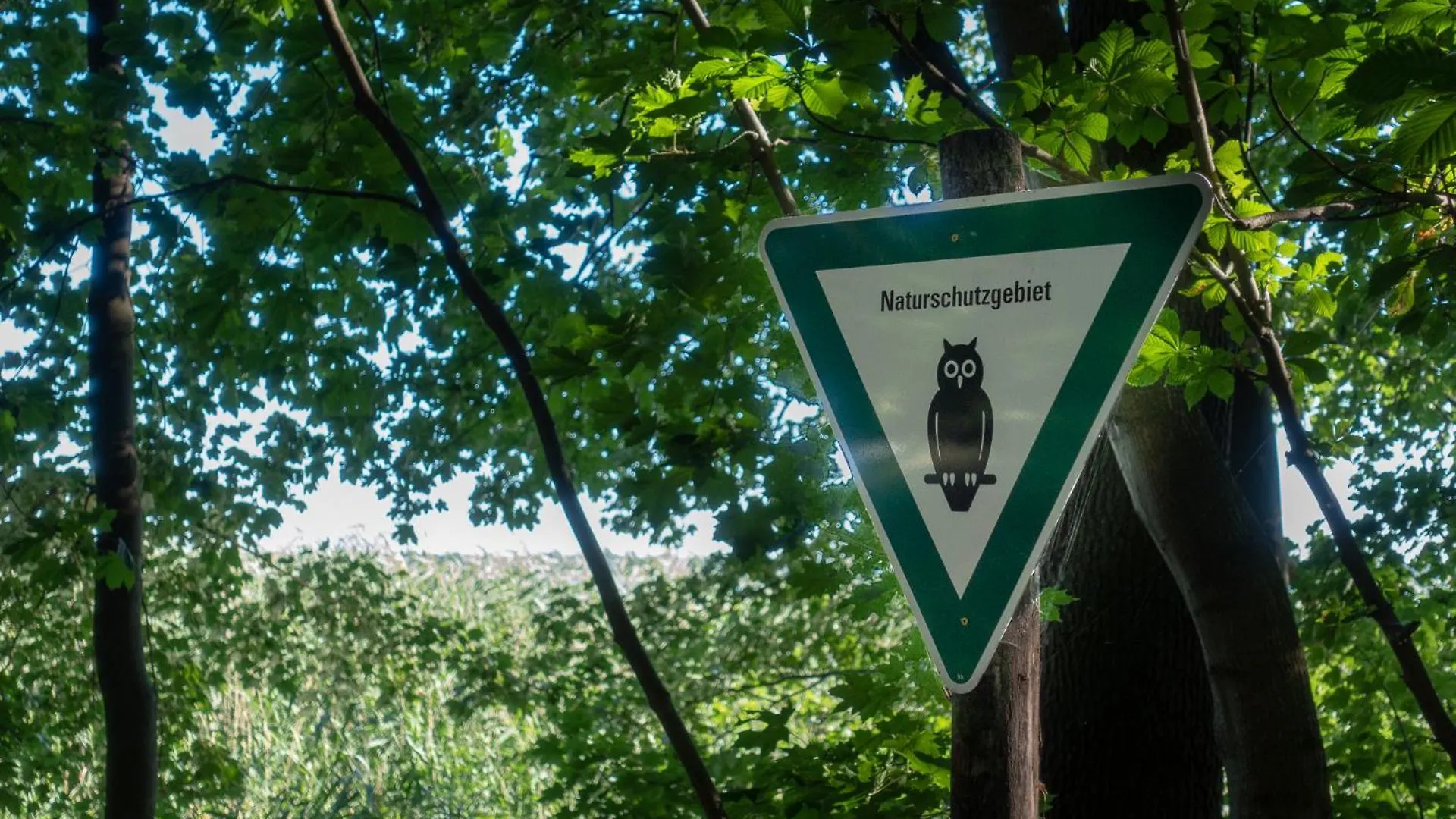 ברלין Ferienpark Ruebezahl Am Mueggelsee, Haus 20 Mohn Mit Eigener Sauna, Idealer Ort Fuer Natur- Und Erholungssuchende, Fuer Radfahrer Und Familien Mit Kindern בית נופש
