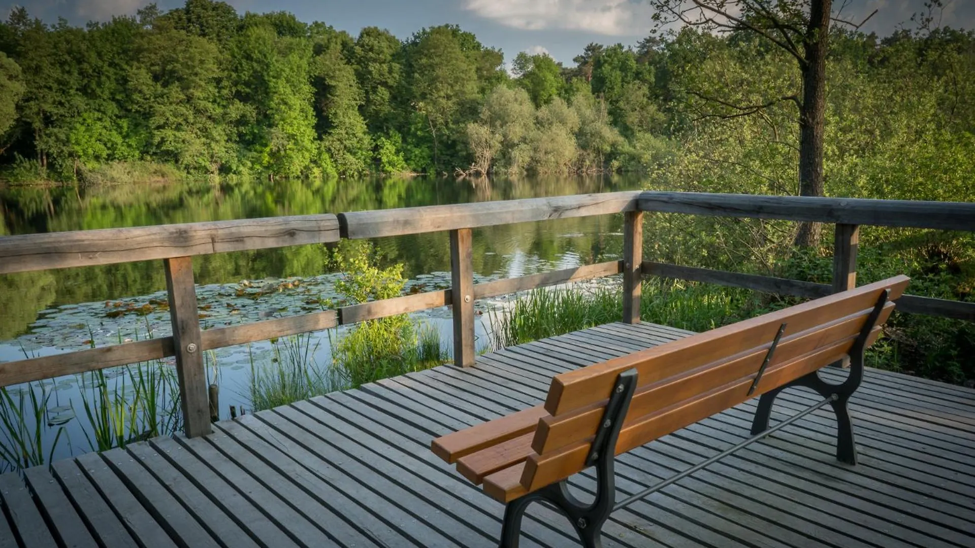 Ferienpark Ruebezahl Am Mueggelsee, Haus 20 Mohn Mit Eigener Sauna, Idealer Ort Fuer Natur- Und Erholungssuchende, Fuer Radfahrer Und Familien Mit Kindern ベルリン 別荘