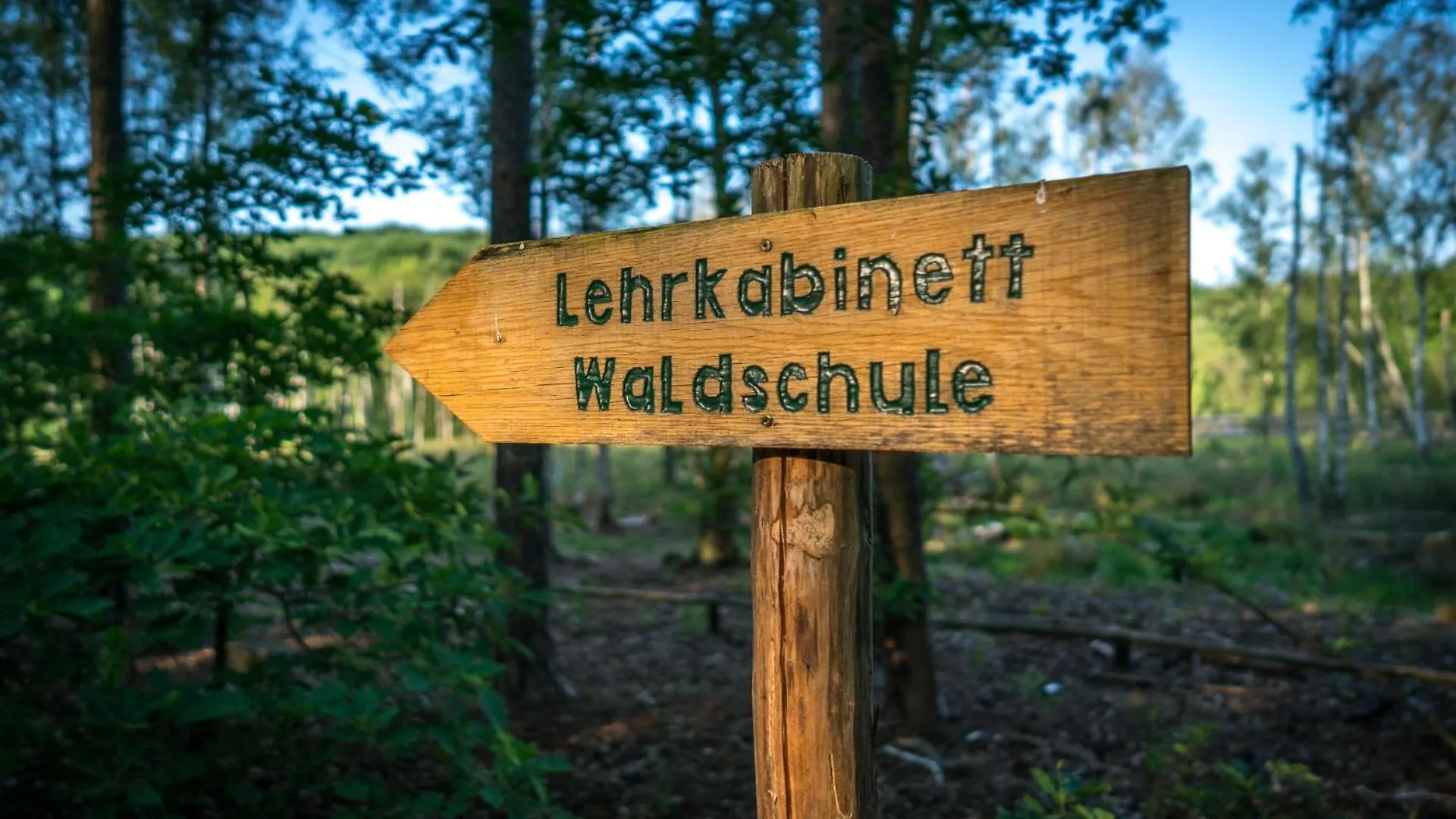 Ferienpark Ruebezahl Am Mueggelsee, Haus 20 Mohn Mit Eigener Sauna, Idealer Ort Fuer Natur- Und Erholungssuchende, Fuer Radfahrer Und Familien Mit Kindern 柏林