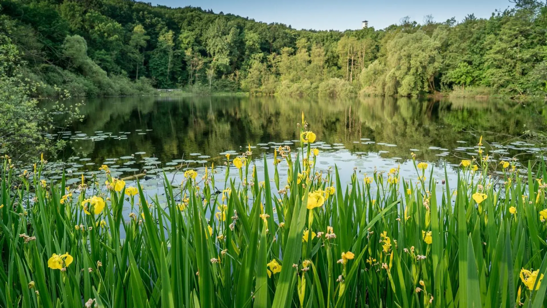 度假居 Ferienpark Ruebezahl Am Mueggelsee, Haus 20 Mohn Mit Eigener Sauna, Idealer Ort Fuer Natur- Und Erholungssuchende, Fuer Radfahrer Und Familien Mit Kindern 柏林